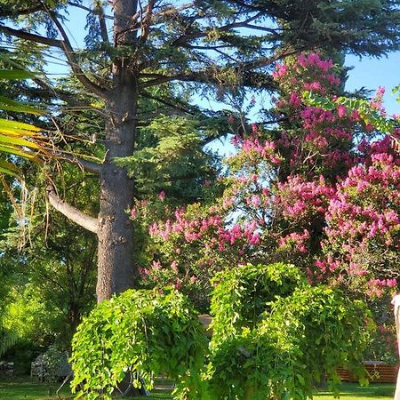 Quinta Ugarte Bed and Breakfast Lujan de Cuyo Eksteriør billede