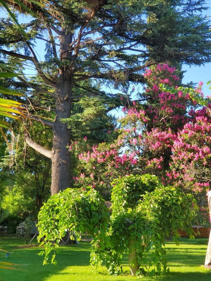 Quinta Ugarte Bed and Breakfast Lujan de Cuyo Eksteriør billede