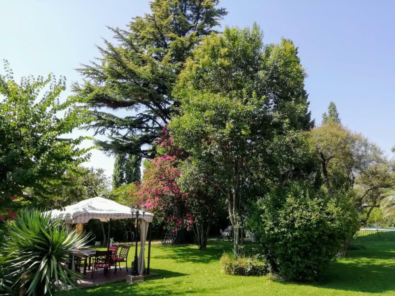 Quinta Ugarte Bed and Breakfast Lujan de Cuyo Eksteriør billede